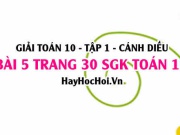 Giải bài 5 trang 30 Toán 10 tập 1 SGK Cánh Diều